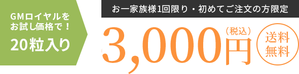 4,320円（税込）送料無料